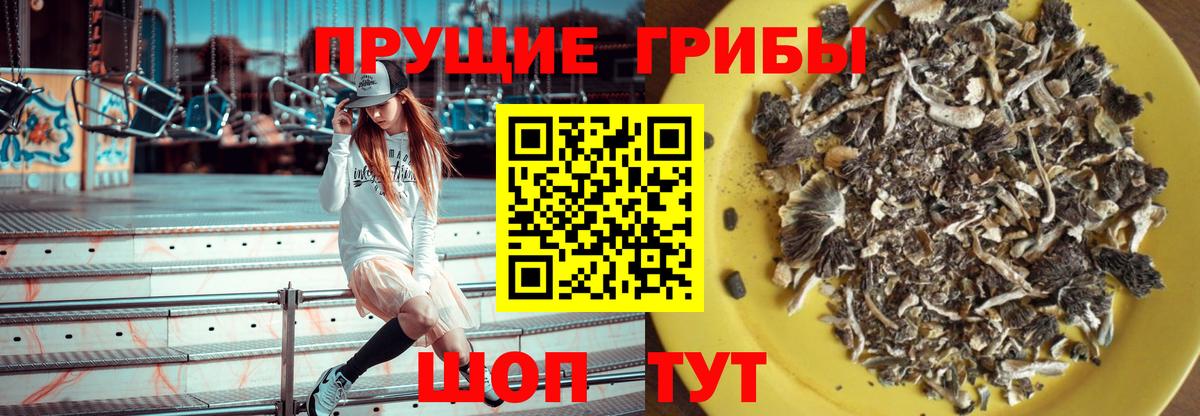 Псилоцибиновые грибы MAGIC MUSHROOMS  Вход с VPN  Хабаровск  Псилоцибиновые грибы Psilocybe 